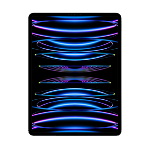 iPad Pro 12.9" 5th Gen (2021) repair