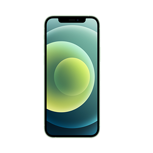 iPhone iPhone 12  Mini Repair