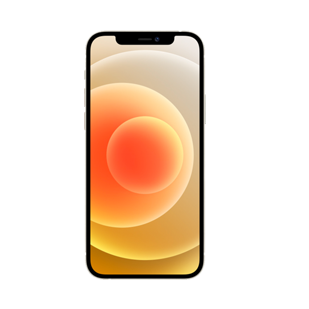 iPhone iPhone 13 Repair